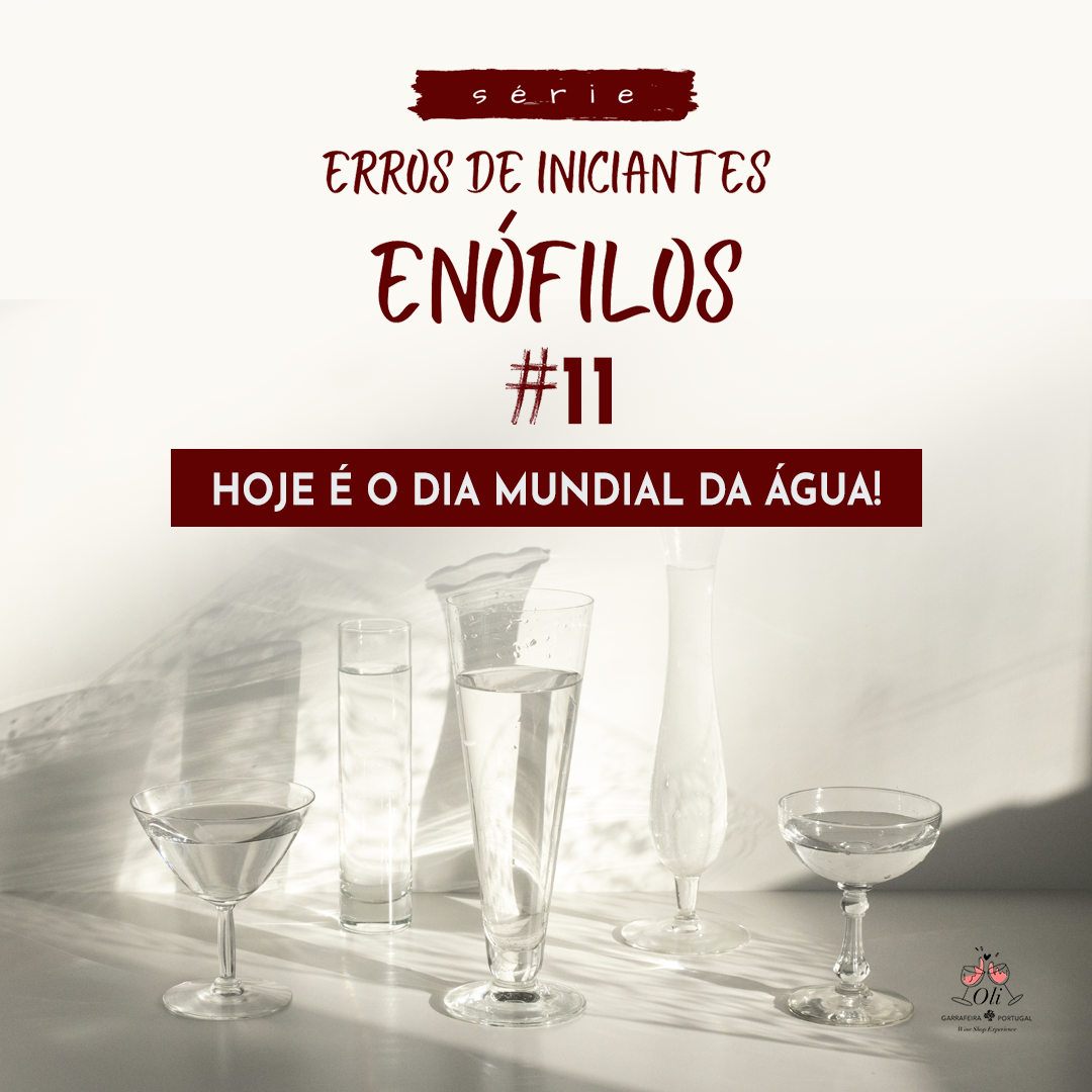 #11 Erros de iniciantes enófilos: não beber água