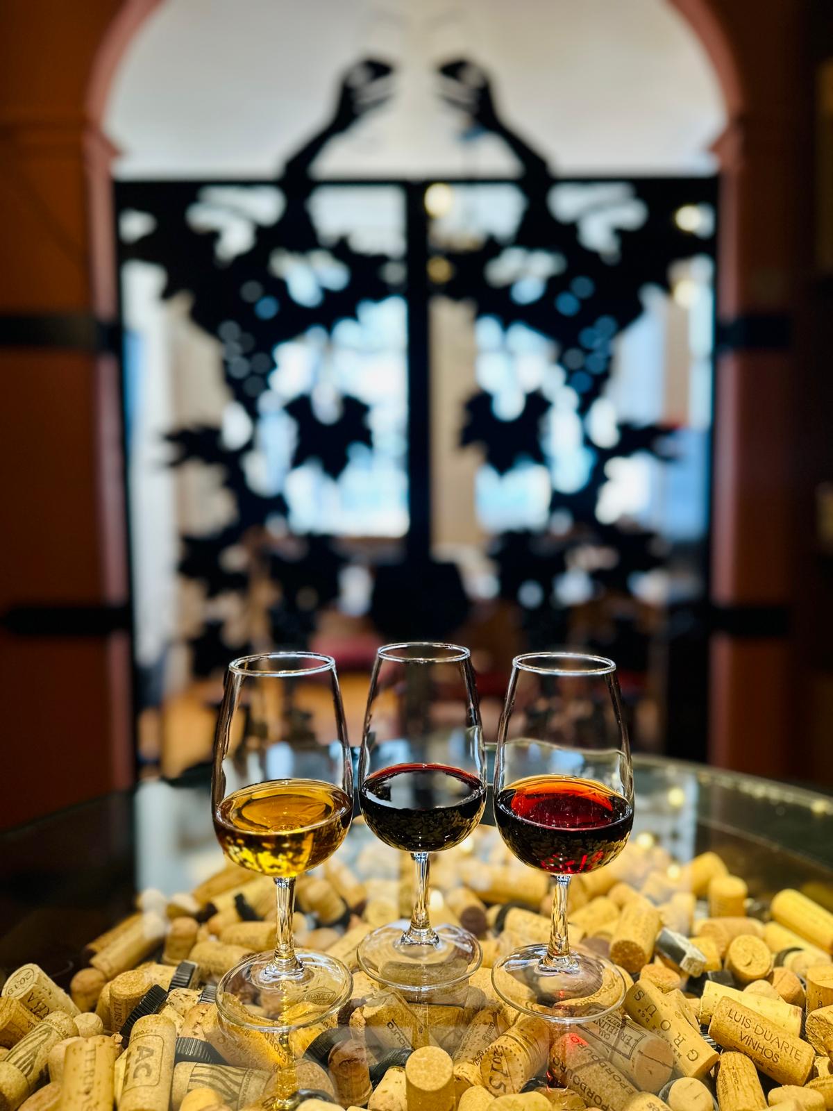 Uma Jornada Completa pelo mundo do Vinho do Porto – Para Verdadeiros Entusiastas